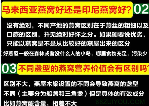YANWO.jpg